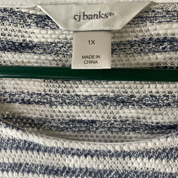 WOMENS PLUS SIZE CJ BANKS BLUE/WHITE STRIPED LONG SLEEVE BLOUSE 1X - Picture 3 of 9